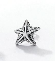 925 Sterling Silver Star Tropical Starfish Stud Earrings - Happyboca